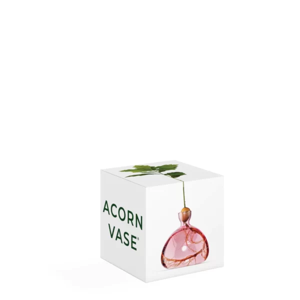 Acorn Vase Rose Pink von Ilex Studio