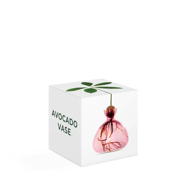 Avocado Vase Rose Pink von Ilex Studio