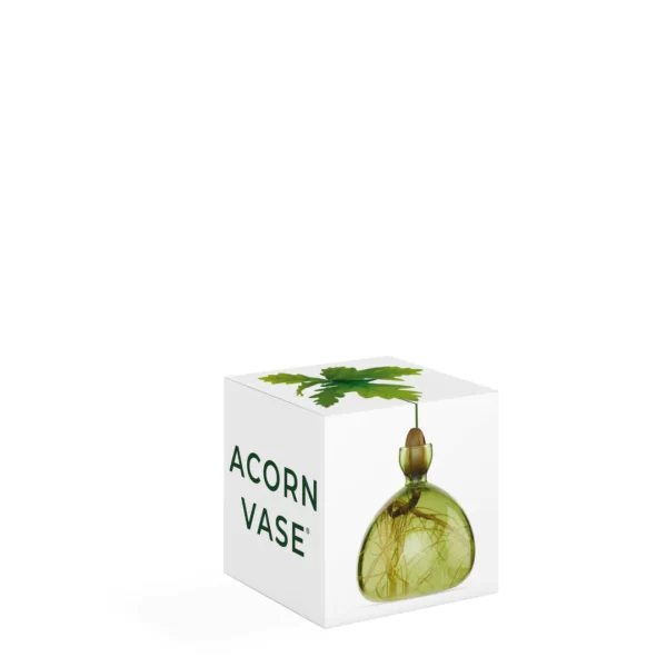 Acorn Vase Grass Green von Ilex Studio