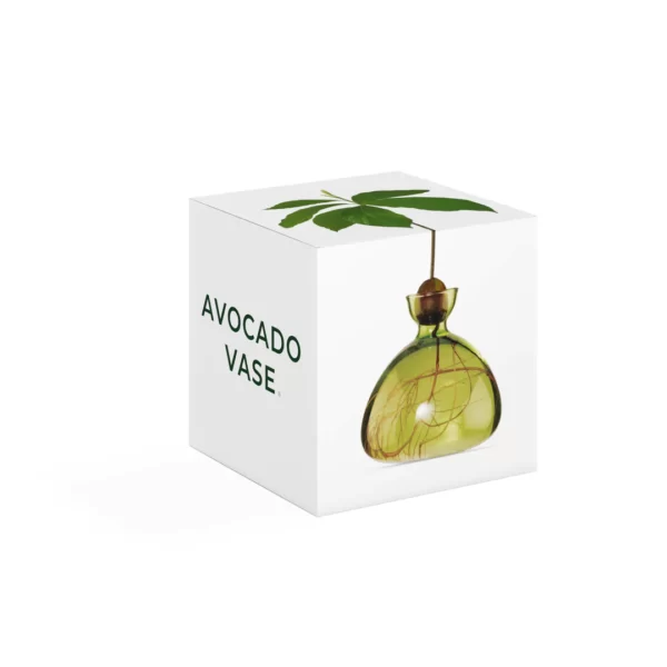 Avocado Vase Grass Green von Ilex Studio