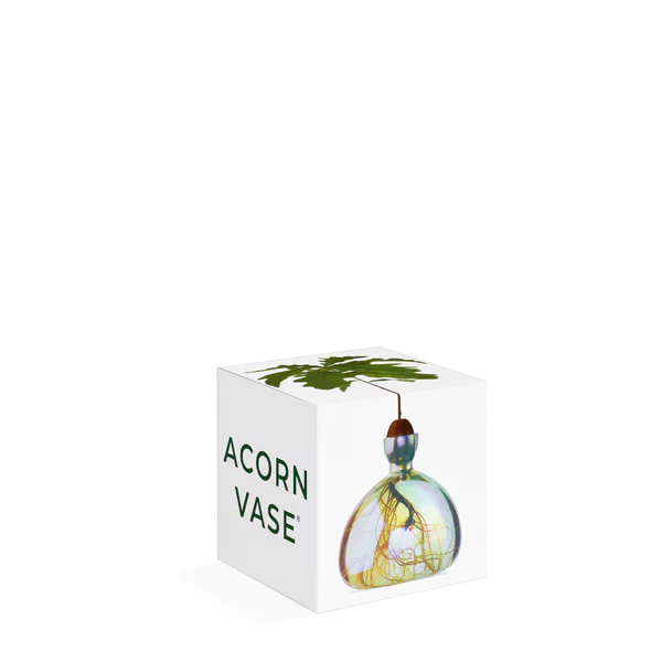 Acorn Vase Cosmic Astra von Ilex Studio