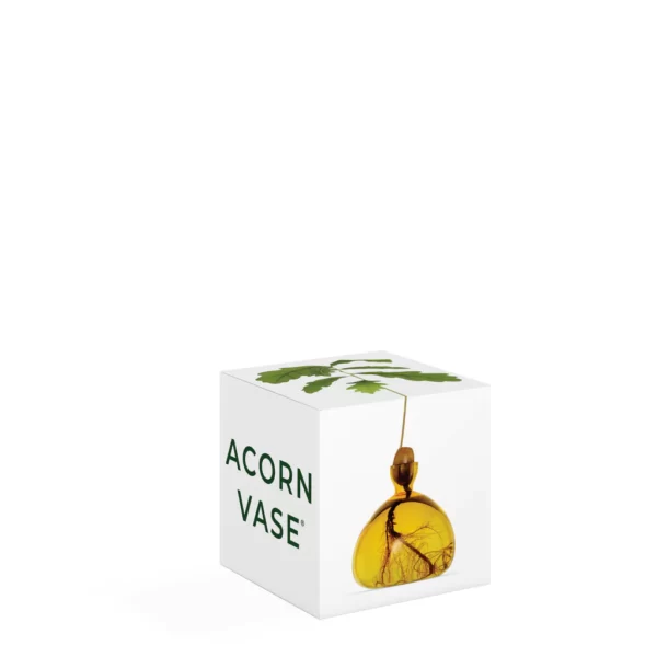 Acorn Vase Yellow Mellow von Ilex Studio