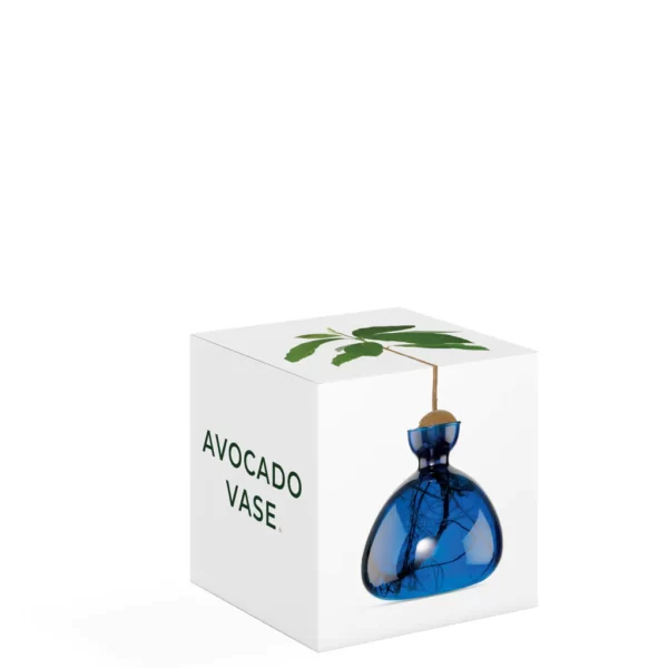 Avocado Vase Lapis Blue von Ilex Studio