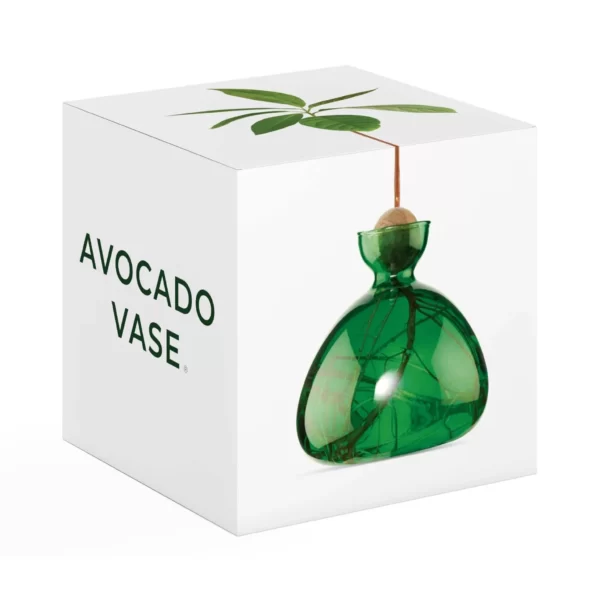 Avocado Vase Emerald Green von Ilex Studio