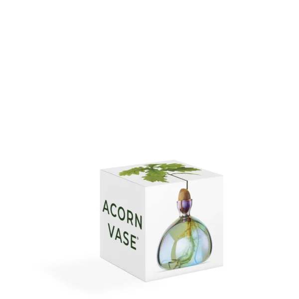 Acorn Vase Cosmic Lyra von Ilex Studio