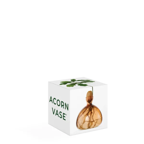 Acorn Vase Sweet Apricot von Ilex Studio