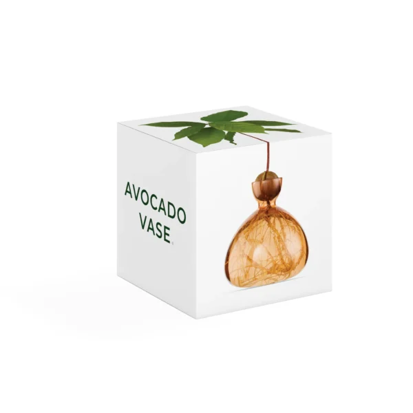 Avocado Vase Sweet Apricot von Ilex Studio