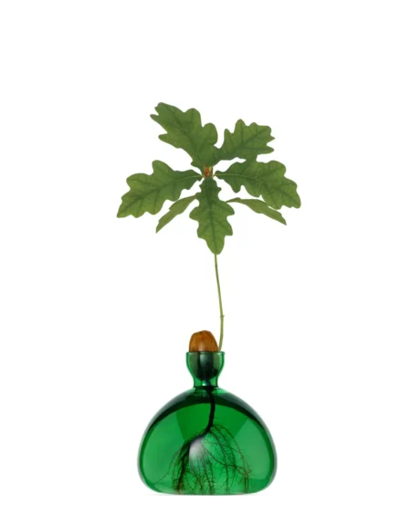 Acorn Vase Emerald Green von Ilex Studio
